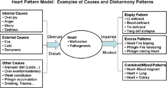 Heart pattern model:examples pf causes and disharmoy patterns
