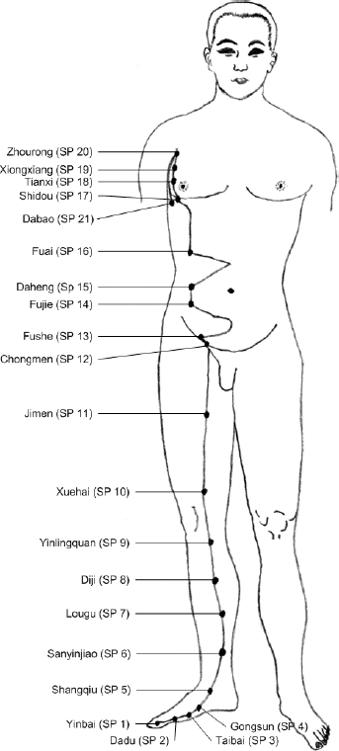 The Spleen Meridian of Foot Taiyin （足太阴脾经）