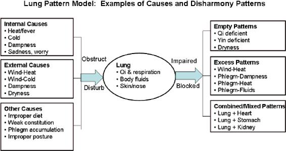 Lung pattern model:examples of causes and disharmoy patterns