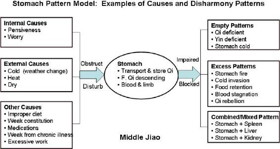 Stomach pattern model:examples of causes and disharmoy patterns