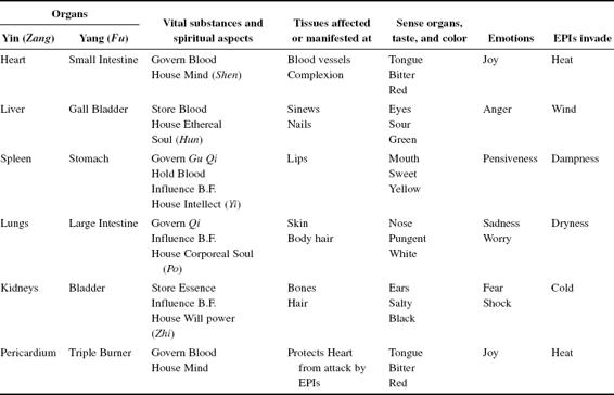 Zang–Fu organs and their specific relationships to selected factors