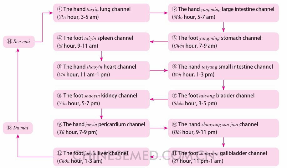 Pic. 1-4　The flow and entry of qi and blood in the fourteen channels 